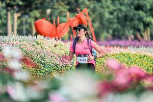 BIB: 
                            <button type="button" onclick="openModal(25932553)" class="btn btn-primary btn-sm float-right btn-popup" data-toggle="modal" data-target=".modal-high-quality">
                        <i class="fas fa-shopping-cart"></i> Add to Cart
                    </button>
                                            <button type="button" onclick="isThisMe(25932553, true)" class="btn btn-success btn-sm float-right btn-popup btn-isme hidden" data-toggle="tooltip" data-placement="bottom" title="นี่คือรูปของคุณใช่ไหม คลิกที่นี่เพื่อเอาเข้าอัลบั้ม">
                        <i class="fas fa-plus"></i> Add to album
                    </button>
                    <button type="button" onclick="isThisMe(25932553, false)" class="btn btn-warning btn-sm float-right btn-popup btn-isnotme hidden">
                        <i class="fas fa-ban"></i> Remove from album
                    </button>